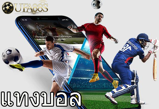 แทงบอลสเต็ปsbobet